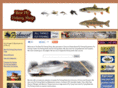 bestflyfishingshop.com