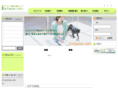 ex-bazar.com
