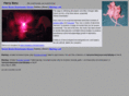harryxenu.com