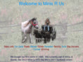 minisrus.com