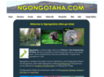 ngongotaha.com