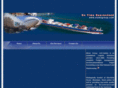 stemigroup.com