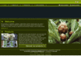 zincarellifruitandvegetableproducers.com