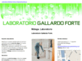 laboratoriogallardofortes.com