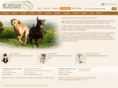 mtnittanyvet.com