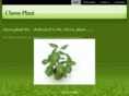 cheeseplant.biz