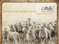 cruxdohnes.co.za