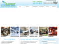 elementpowergroup.com