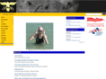 kalamundaswimming.asn.au