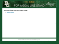 powerbaylor.com