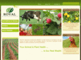 radcoegypt.com