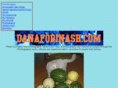 danaforinash.com