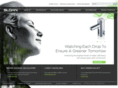 fancy-flushworks.com