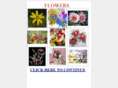 flowers-bouquets.com
