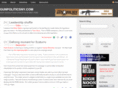 gunpoliticsny.com