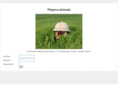 playmo-animals.com