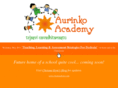 aurinkoacademy.com