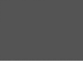 avantitalent.com