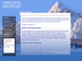 carlsontaxservice.com