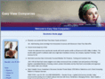 easyviewcompanies.com