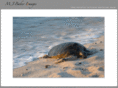 mjbakerimages.com