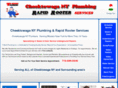 plumberincheektowagany.com