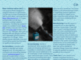 bcinjector.com
