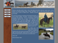 bigvalleyquarterhorses.com