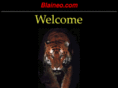 blaineo.com