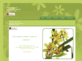 floriplantmexico.com