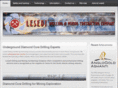 lesedicontracting.co.za