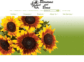 blossomsandbows.net