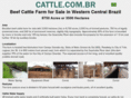 cattle.com.br