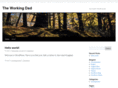 theworkingdad.com