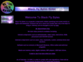 blackflybytes.com