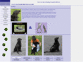 flatcoatedretrievergallery.com
