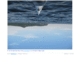 mcinroy.net