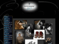 photographicartsonline.com