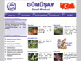 gumusay.org