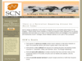 strategicchurchnetwork.org