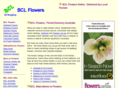 bclflowers.com
