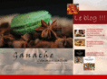 ganachecommunication.com