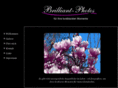 brilliant-photos.com