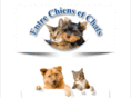 entre-chiens-et-chats-agadir.com