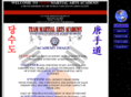 teammartialartsacademy.com