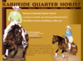 barheide.com
