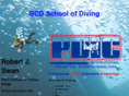 bcdschoolofdiving.com