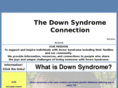 dsconnection.com