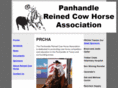 panhandlecowhorse.com
