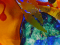 carterdesignstudios.com
